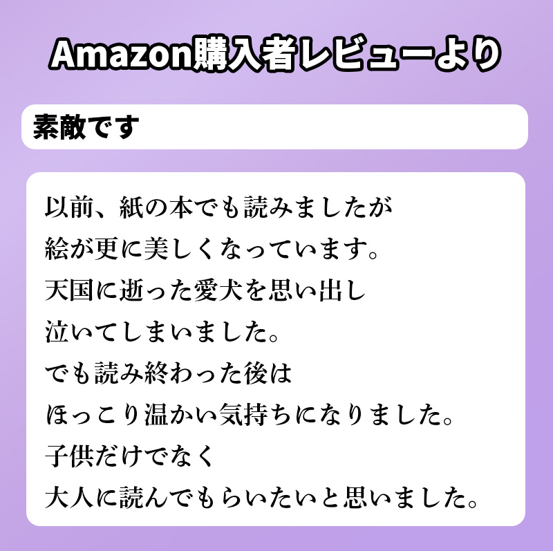 Amazon購入者レビューよりテキスト03