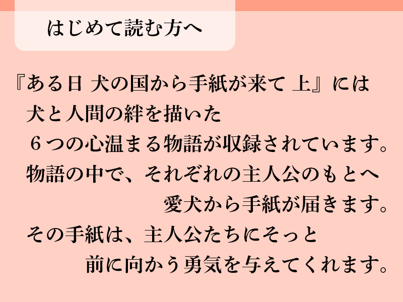 はじめて読む方へ、書籍の簡単な紹介文