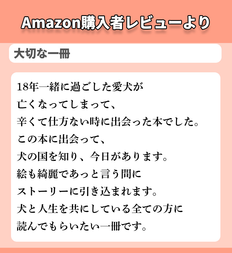 Amazon購入者レビューの文字テキスト