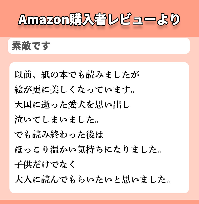 Amazon購入者レビューの文字テキスト