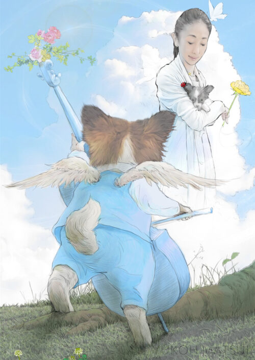 大切な人を思いながら、背中を向けてチェロを奏でている犬。